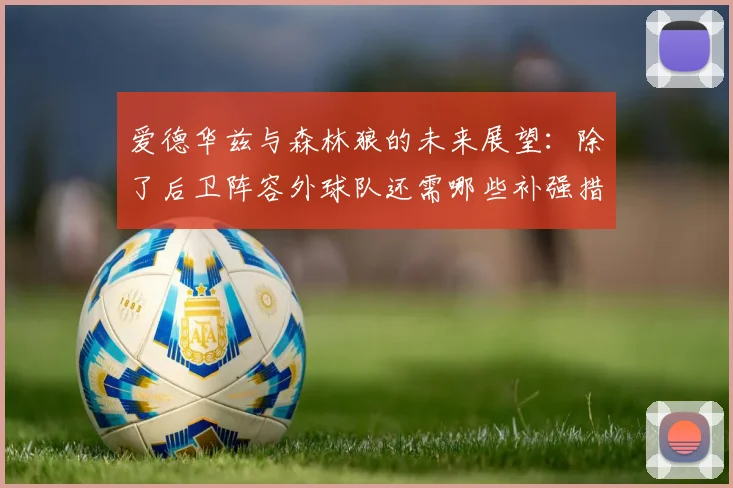 爱德华兹与森林狼的未来展望：除了后卫阵容外球队还需哪些补强措施